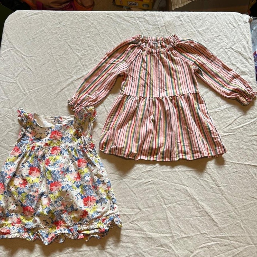 Baby Girl Size 18-24 Months Dresses